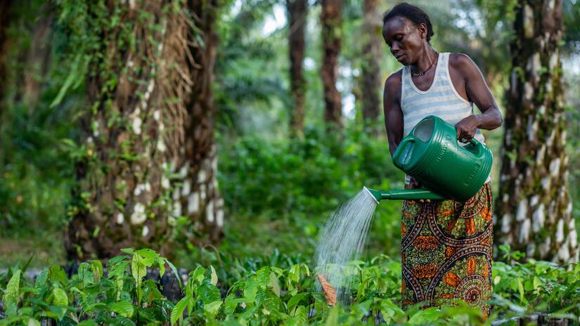 miriam_albert_sierra_leone_tree_planting_champions_p-sle1345