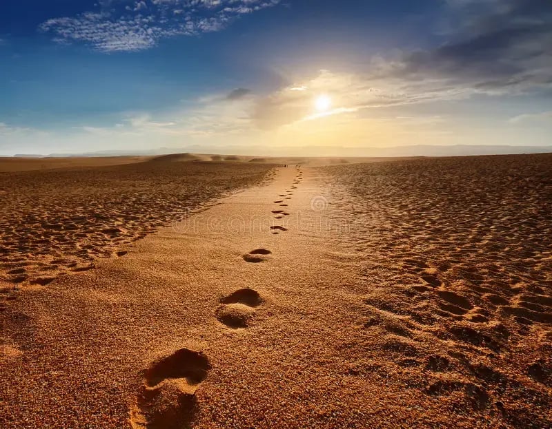 set-footprints-gradually-disappearing-dusty-path-leading-towards-distant-horizon-set-footprints-gradually-375996722