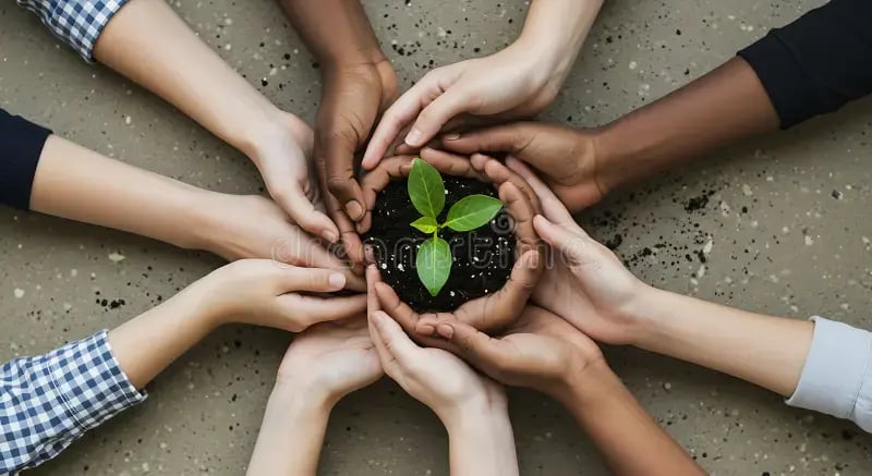 small-green-plant-diverse-hands-circle-symbolizing-growth-diverse-hands-gently-cradle-small-green-plant-soil-arranged-397202491